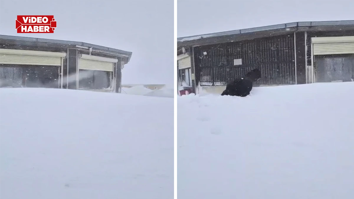 Urfa’da tarihi kış: Kar boyu insan boyunu aştı!