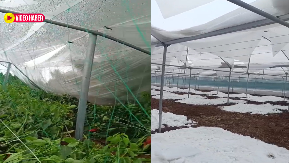 Şanlıurfa'daki kar birikintisi bu kez sera alanlarını vurdu!