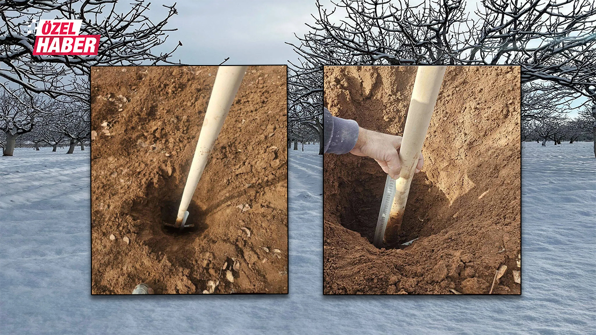 Şanlıurfa’da herkes bunu konuşuyor: 2 yıl sonra ilk kez…