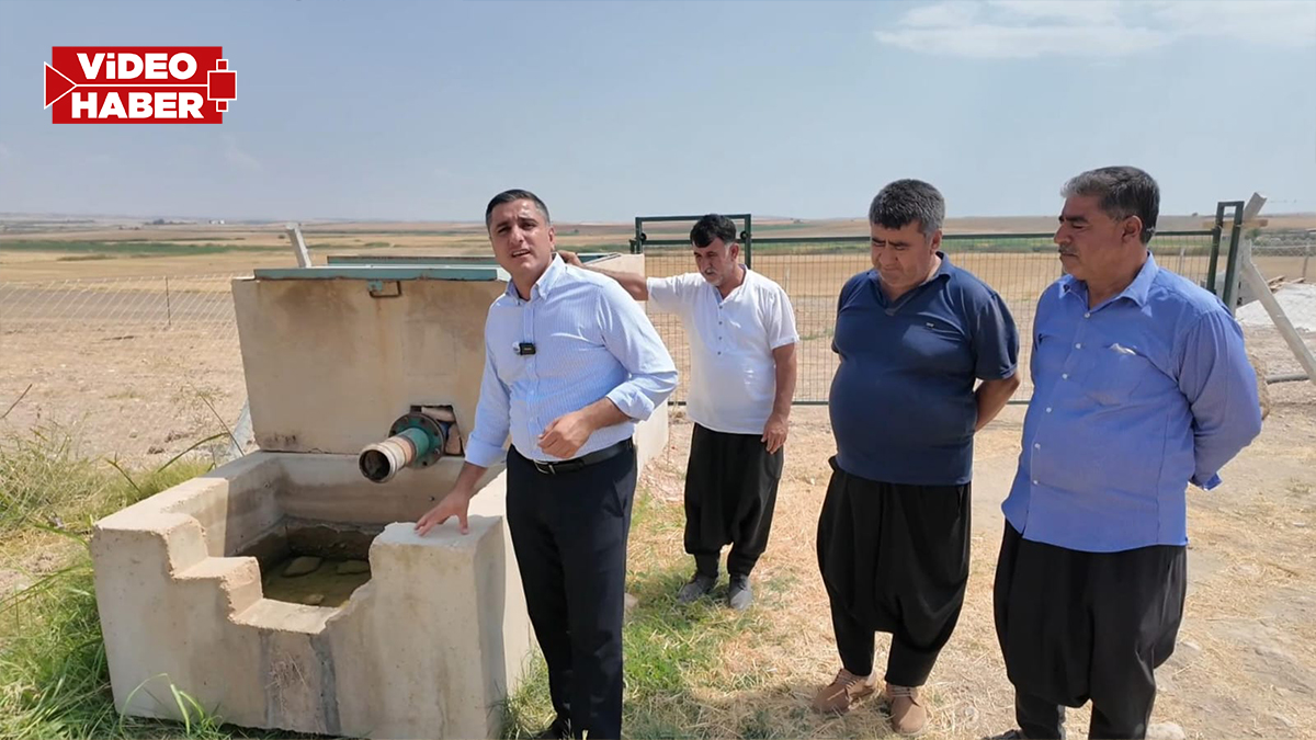Şanlıurfa’da yüksek maliyet çiftçiye ikinci ürünü ektiremiyor! Sulamada güneş enerjisi çağrısı