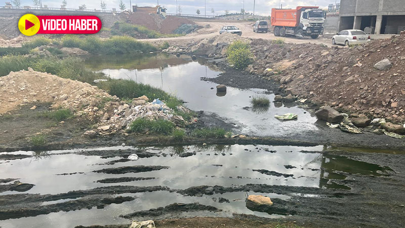 Şanlıurfa'da rögar patlamış mahalle pislik içinde! İnsanların sağlığı tehlikede