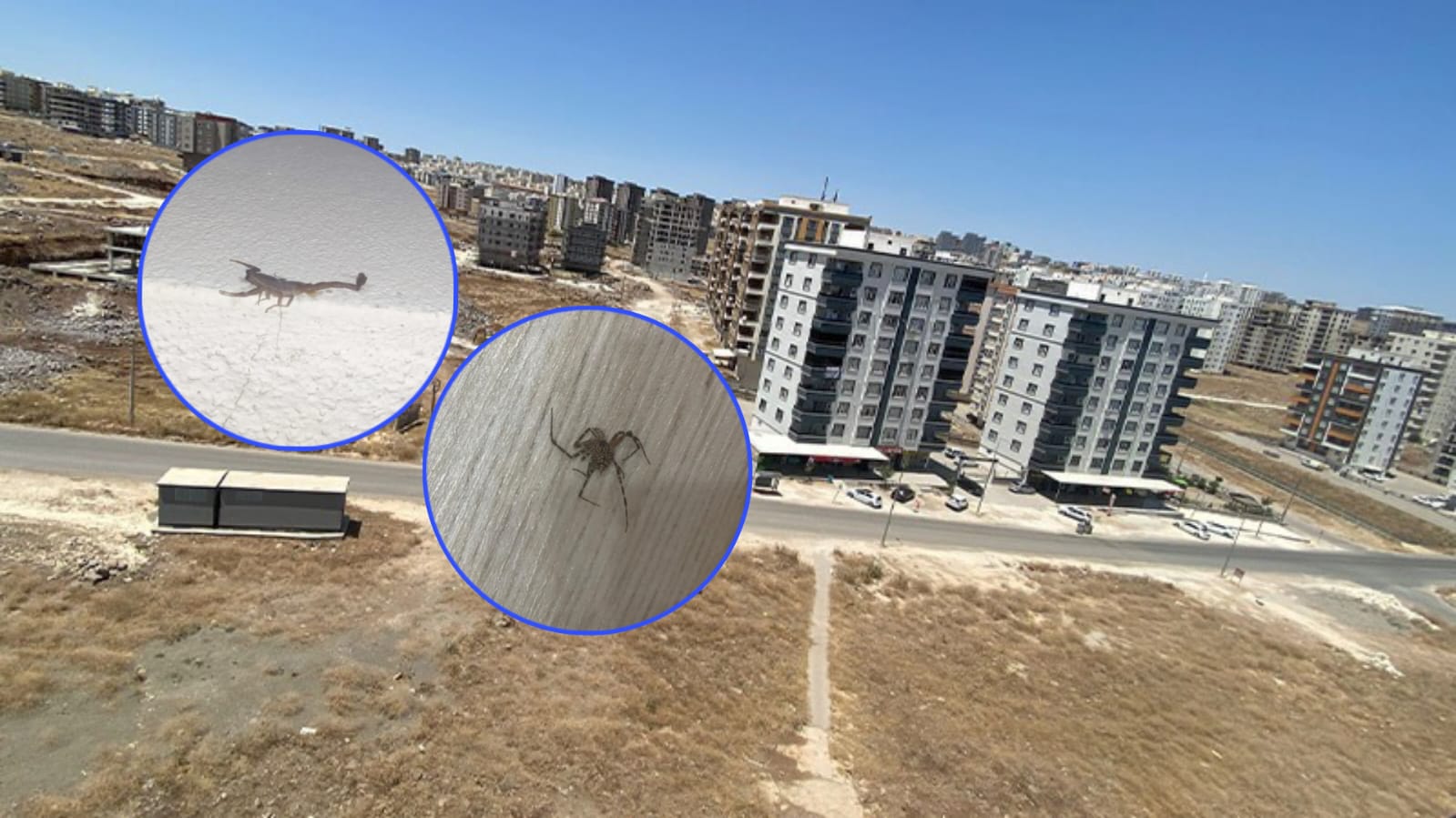 Şanlıurfa'da imar planında park, gerçekte survivor