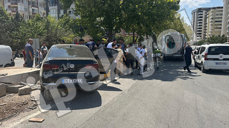 Şanlıurfa'da geriye kalan tek nar da uçtu