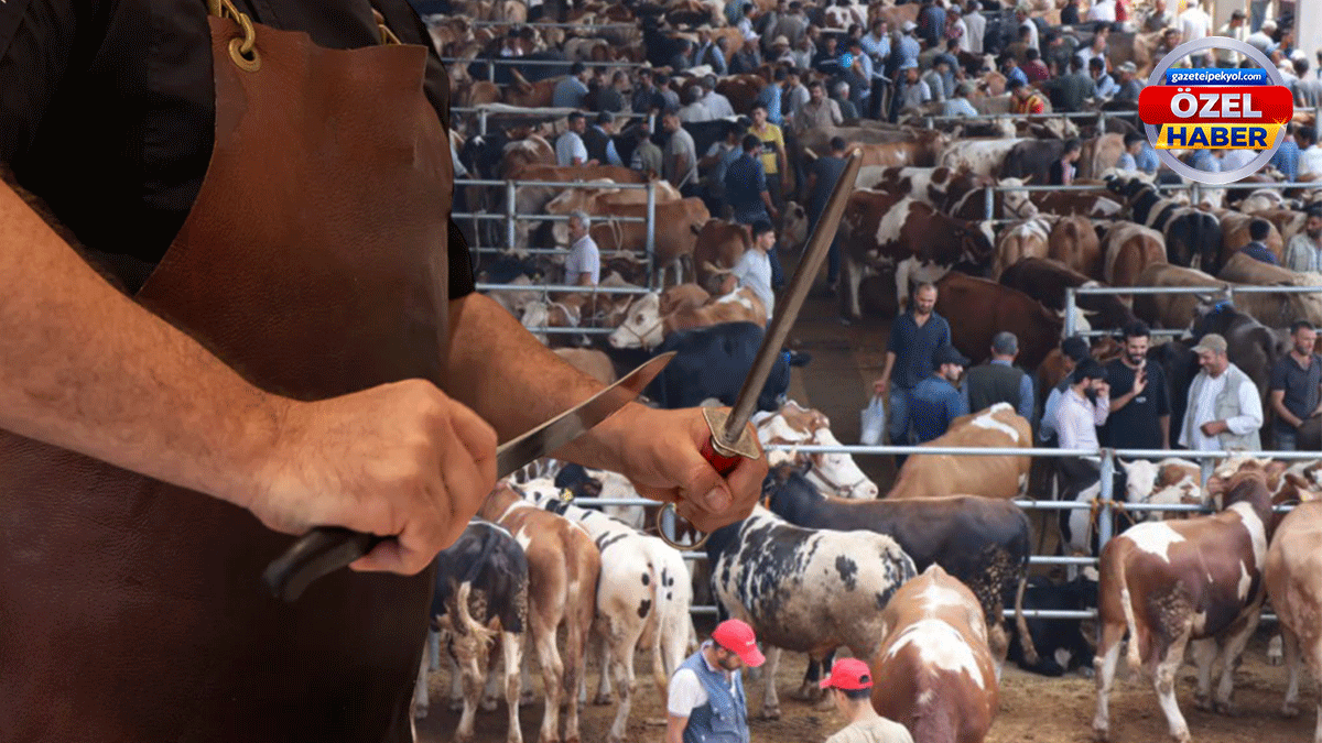 Şanlıurfa’da bayram öncesi kesim ücretleri belli oldu! Fiyatlar cep yakıyor