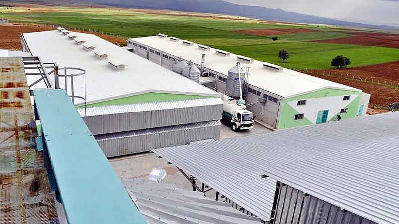 Günlük 300 bin yumurta üreten şirkete kayyum atandı