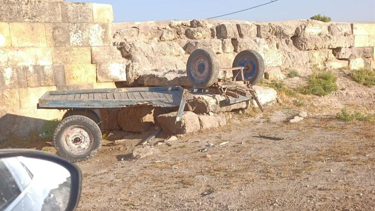 Urfa'da günün en ilginç kazası... Arabası devrildi, atı kayıplara karıştı!