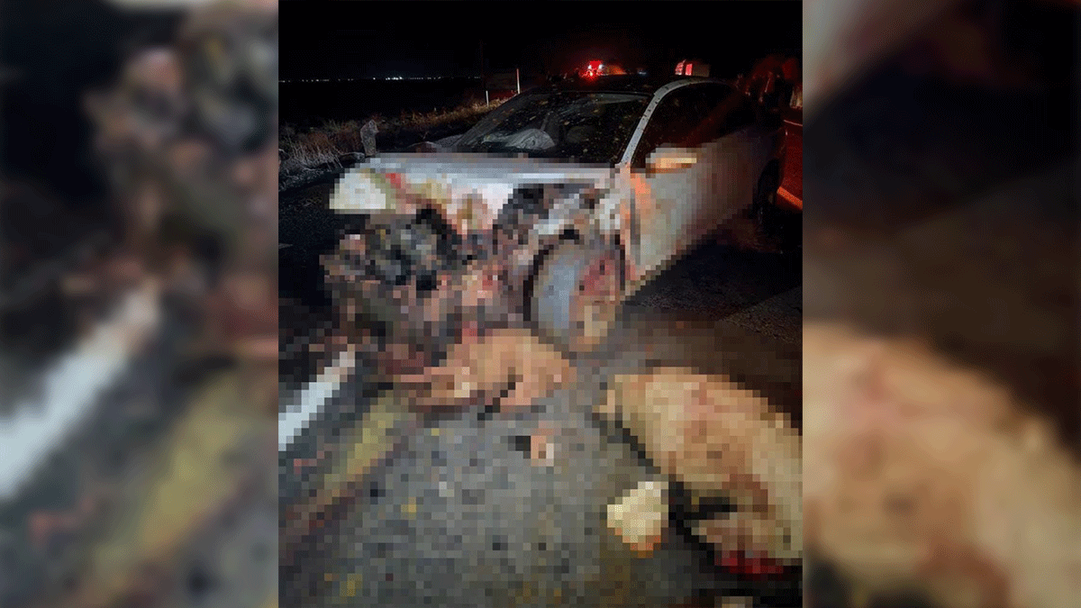 Şanlıurfa'da gece yarısı korkunç kaza! Otomobil sürüye daldı: 1 kişi öldü