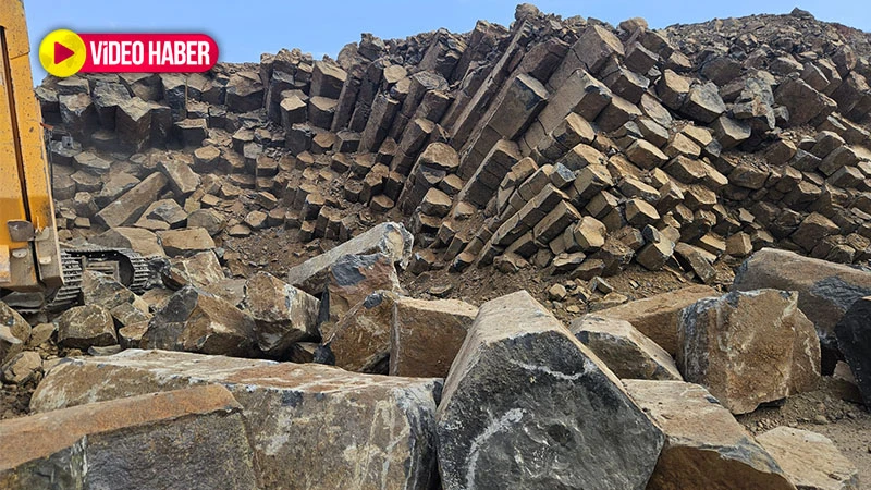 Şanlıurfa’da yol çalışması sırasında keşfedildi!   2 milyon yıl öncesine ait
