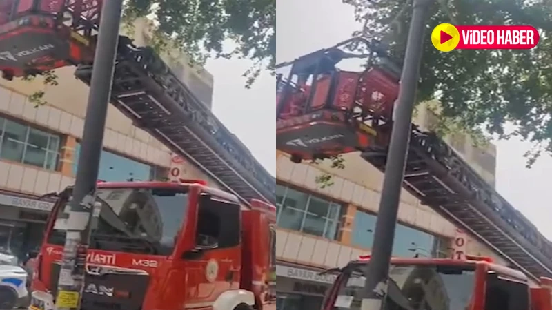 Şanlıurfa’da kedi kurtarma operasyonu