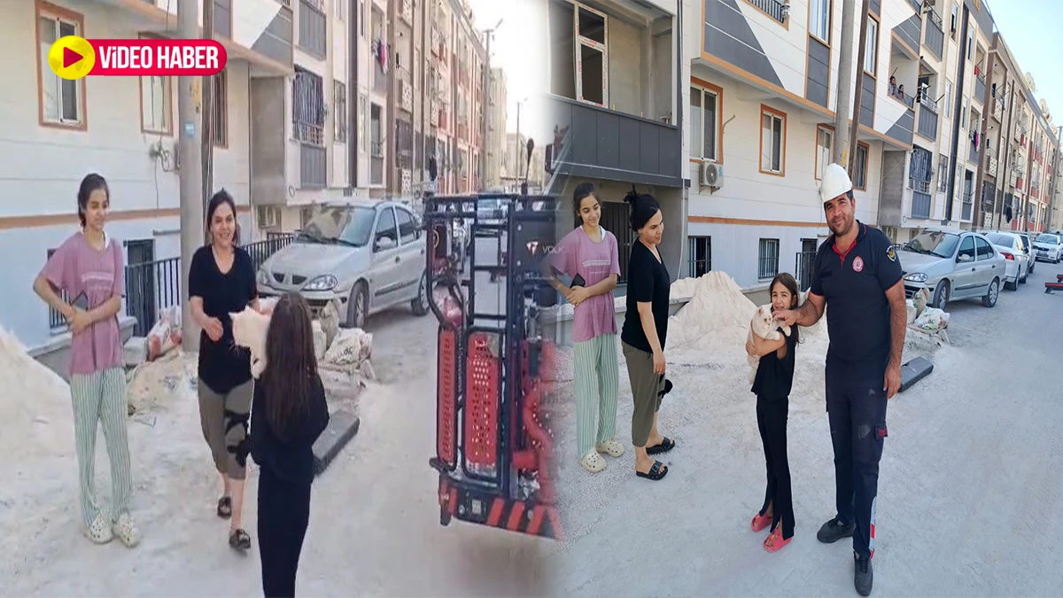 Şanlıurfa’da pencerede mahsur kalan kedi için seferber oldular