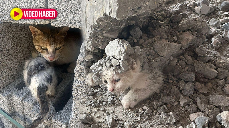 Şanlıurfa'da beton kolonun altından sağ salim çıkarıldı