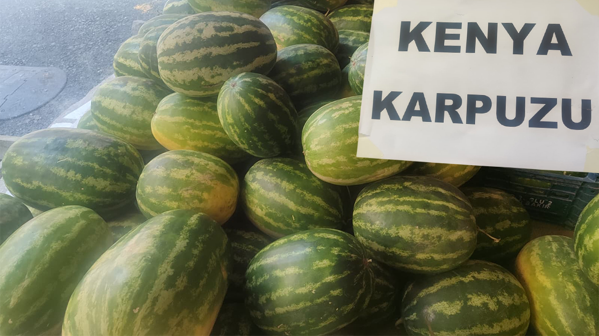 Şanlıurfalıların yeni gözdesi Kenya karpuzu!