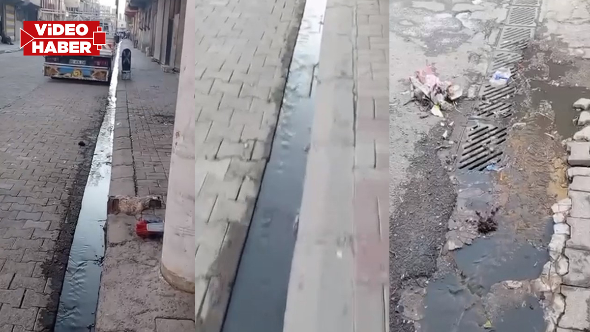 Şanlıurfa’da mahallelinin logar çilesi! Ne kokudan duruluyor ne yürünüyor