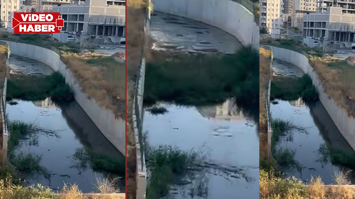 Şanlıurfa'da vatandaşları bıktıran manzara: Tepki toplamaya devam ediyor