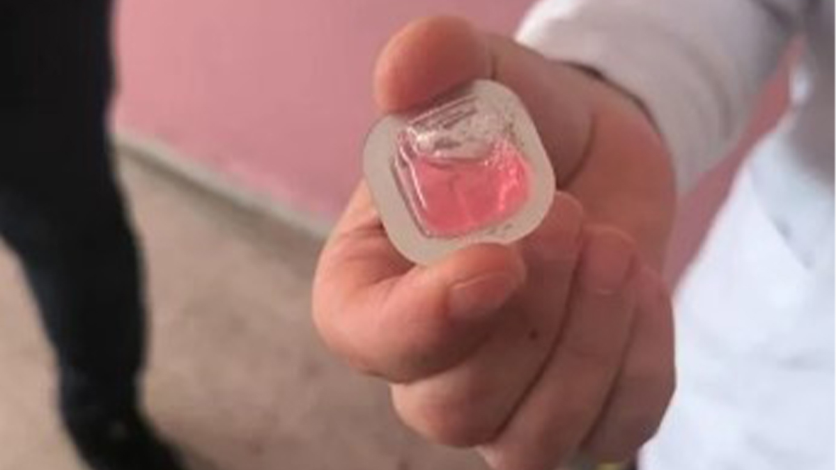 Şanlıurfa’nın komşusunda kuduz aşısı alarmı! Köylere ulaştı…