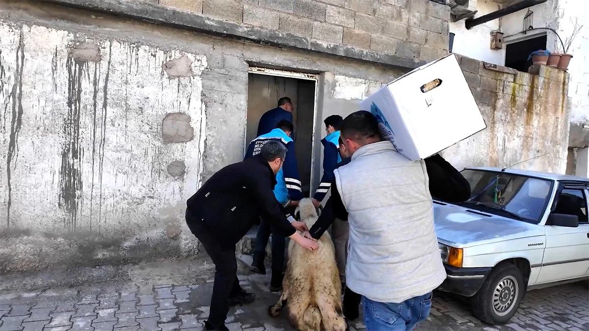 Başkan Kuş hafta sonunu mesaisini o evlere ayırdı: Bizi siz çağırmadınız, biz geldik