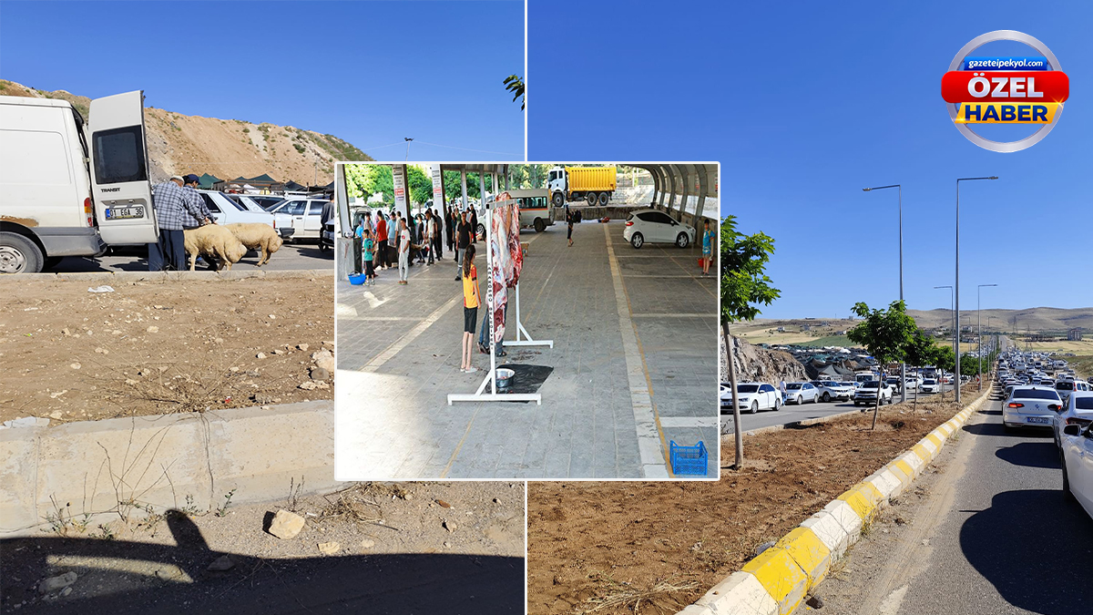 Şanlıurfa’da kurban telaşı: Trafik kilitlendi, kurbanlıklar zor anlar yaşattı