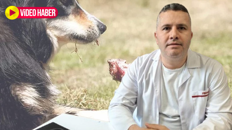 Şanlıurfa’da kurban etinin o kısmını sakın köpeklere vermeyin: Ölüm yayıyor!