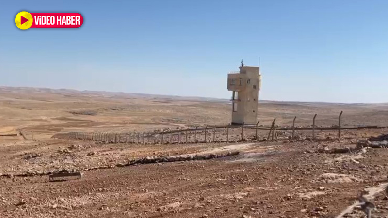 Urfa'da büyüyen yavrular doğaya salındı!  Karşınıza çıkarsa sakın şaşırmayın
