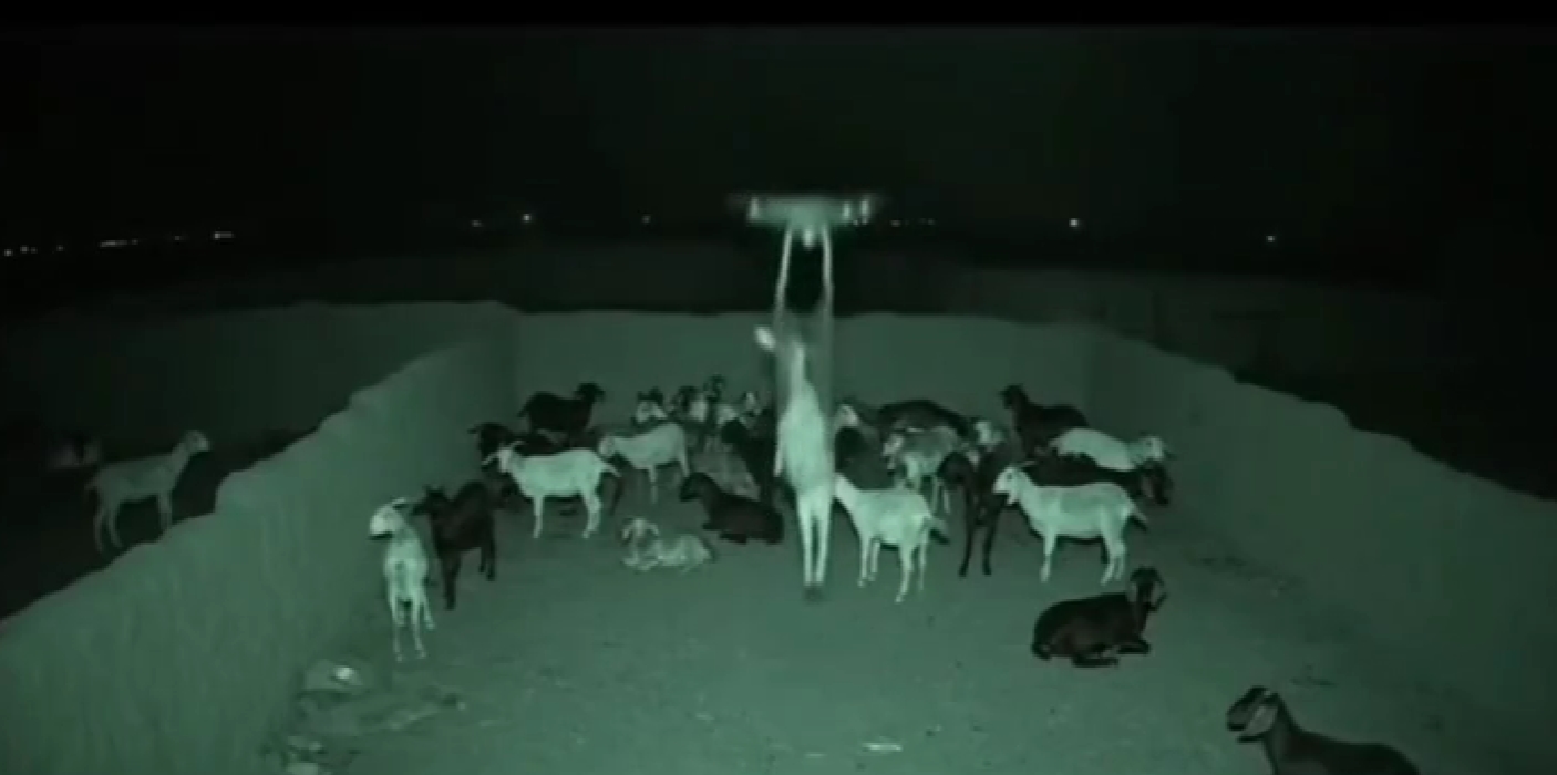 Biri bir kuyuya taş atmış gündem yine Şanlıurfa'ya olmuş! Paylaşan paylaşana