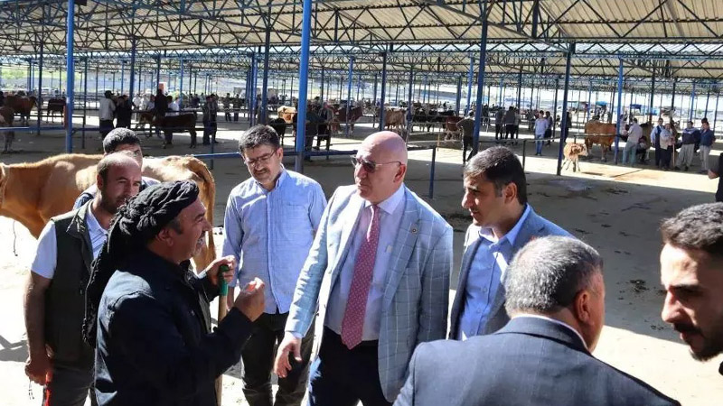 KESK bile yalanladı!  Tanal: Vatandaşın hayvan küpesine ancak karaborsayla ulaşabildiği iddia ediliyor