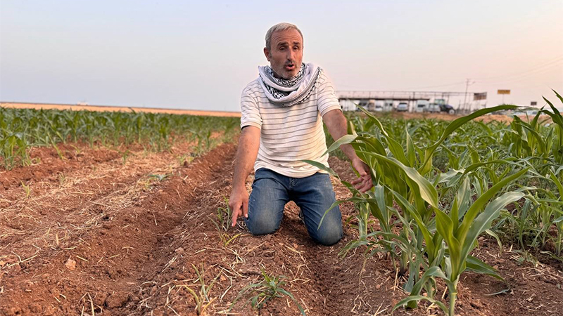 Şanlıurfa’da akıl almaz olay! Aynı anda ekilen tohumlardan biri cüce çıktı