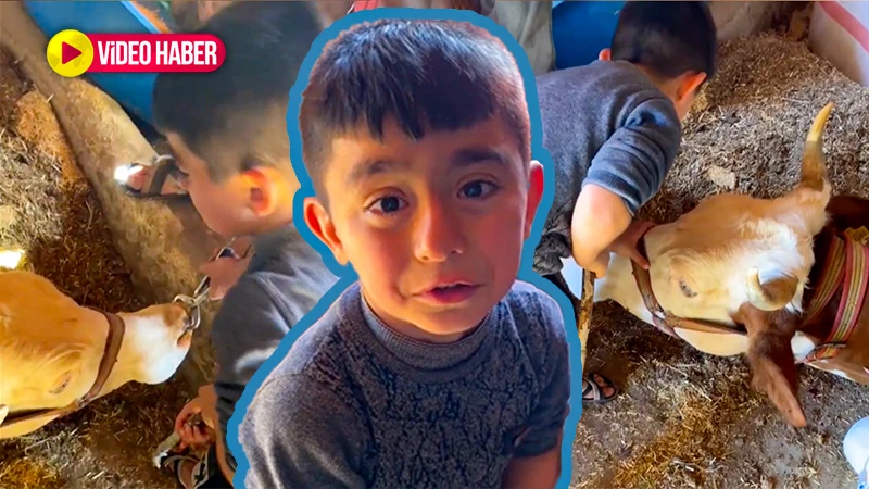 Bırakın dünyayı çocuklar yönetsin! Şanlıurfalı Muhammet'in merhameti herkese lazım