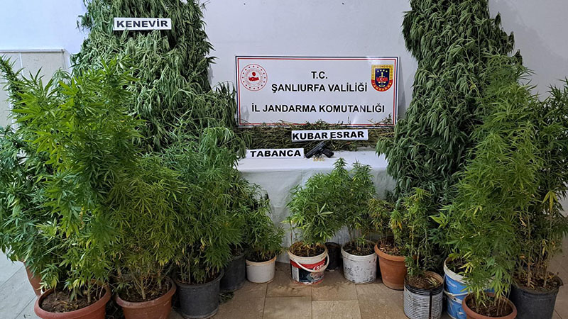 Şanlıurfa'da jandarmadan şok baskın!