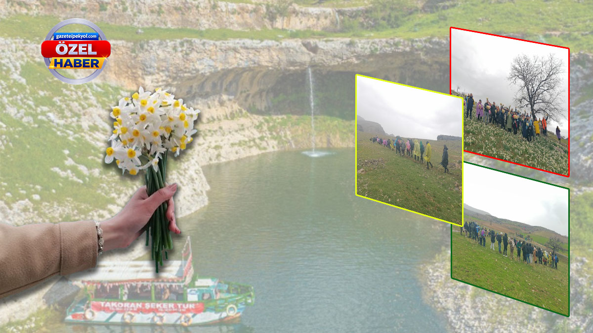 Urfa’da bir "nergis" masalı: Takoran Vadisi büyüledi!