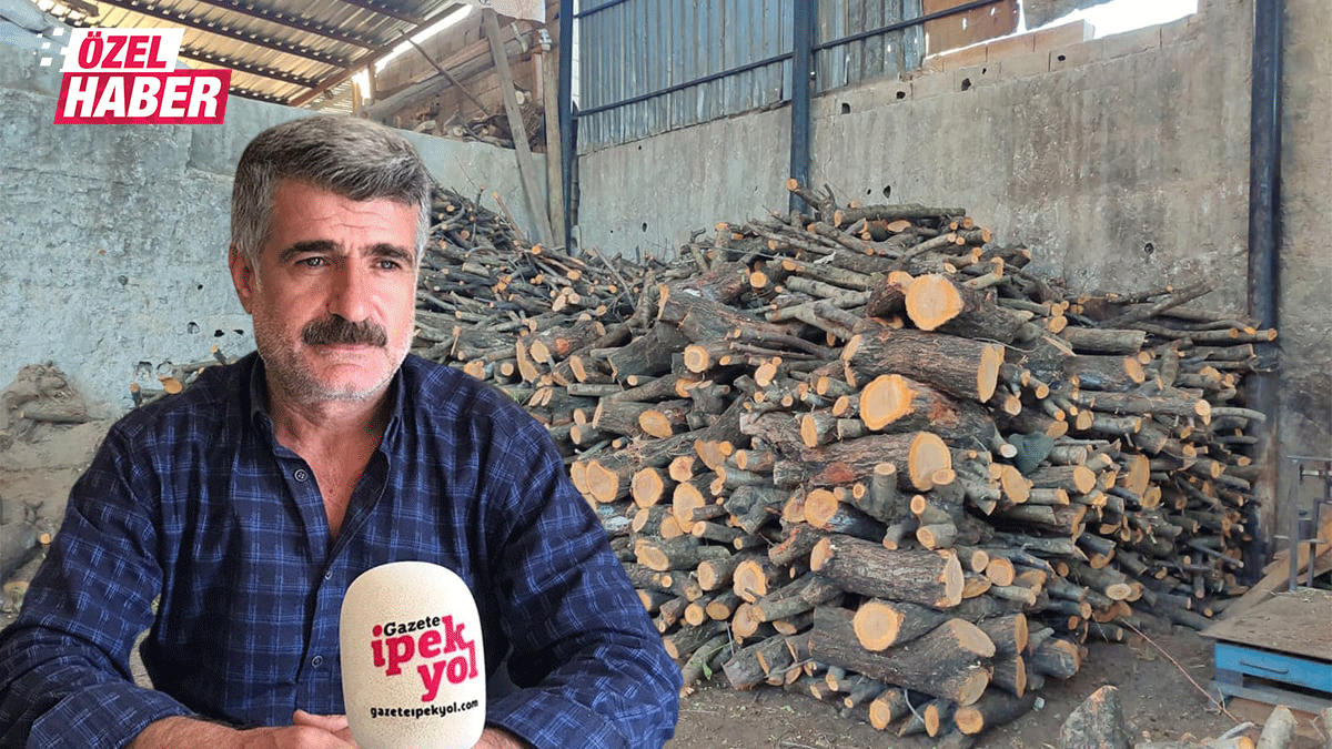 Şanlıurfa’da dondurucu soğuklar da çare olmadı: Esnaf beklediğini bulamadı