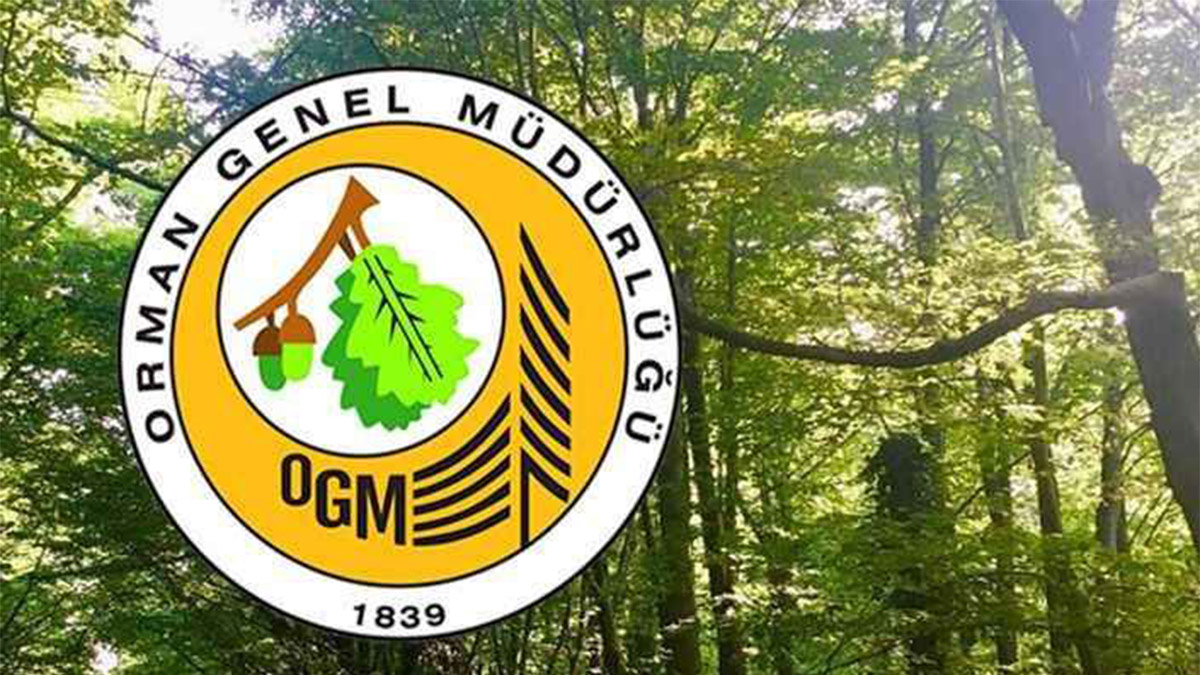 OGM 262 daimi işçi alacak! İşte başvuru tarihleri