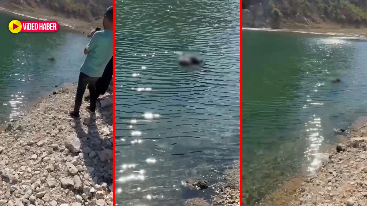 Şanlıurfa’da köprü altında tüyler ürperten olay! Çobanlar fark etti