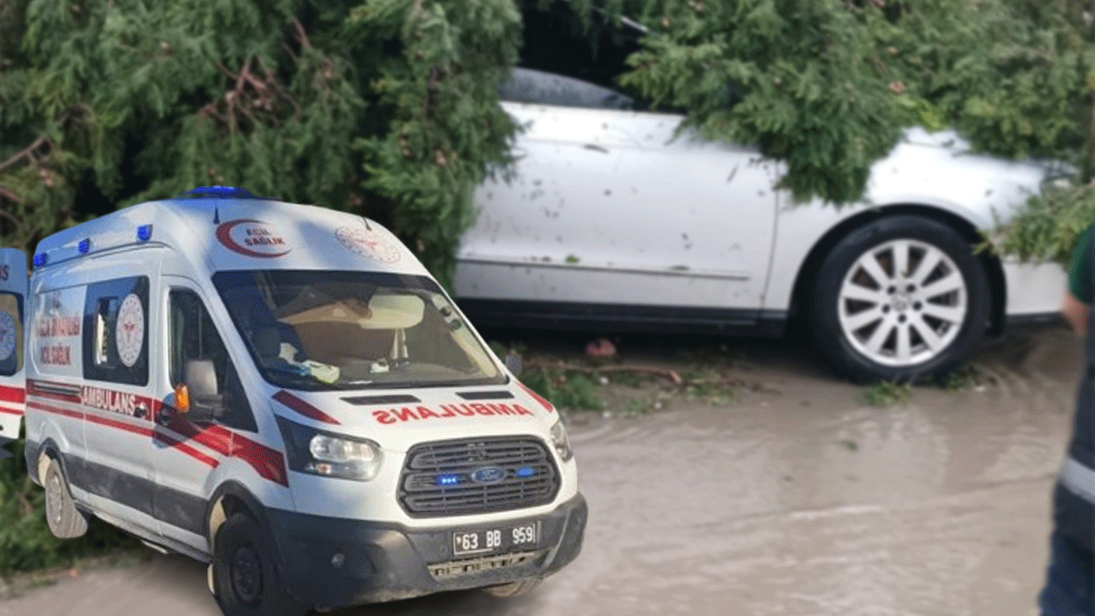 Şanlıurfa’da fırtına can aldı!