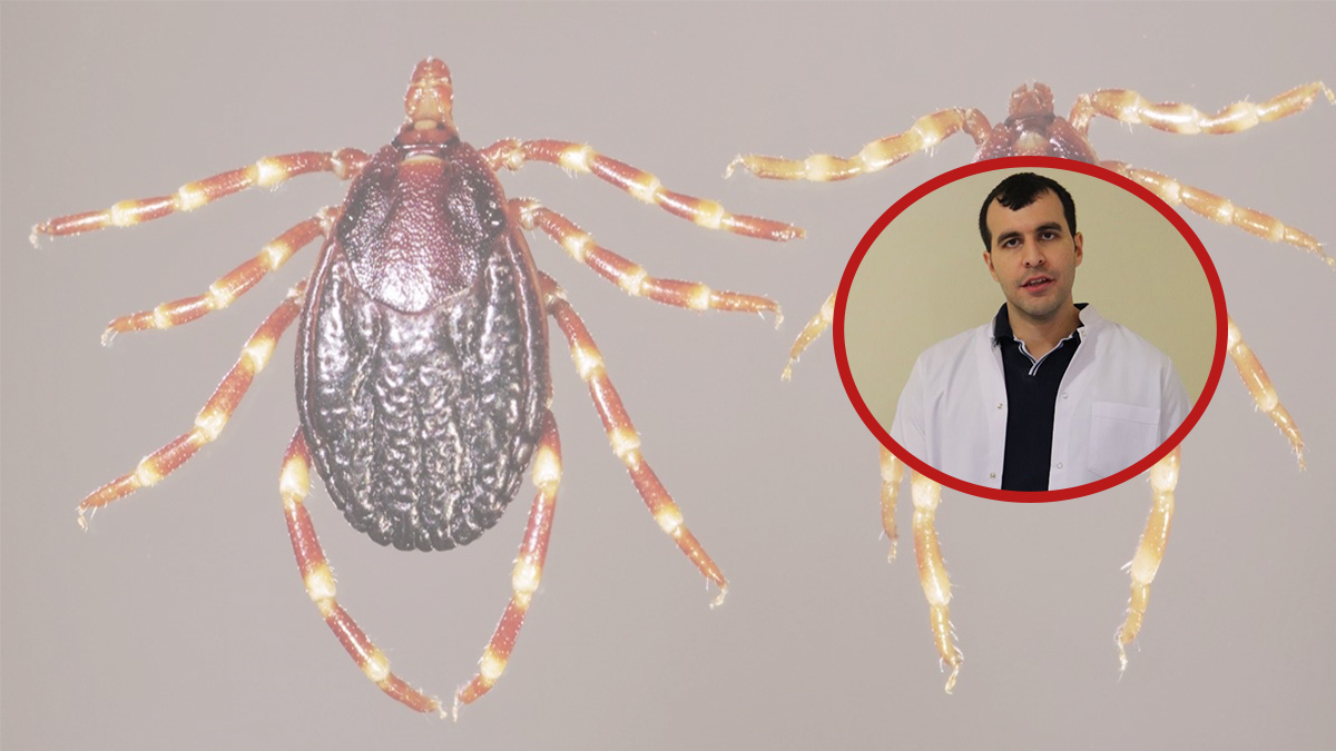 Ölümcül tehlikeye karşı kritik uyarı: Şanlıurfa'da sağlıkçılar eğitime alındı!