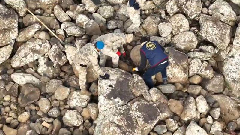 Şanlıurfa'da eş zamanlı operasyon! Silahlar bakın nerede ele geçirildi