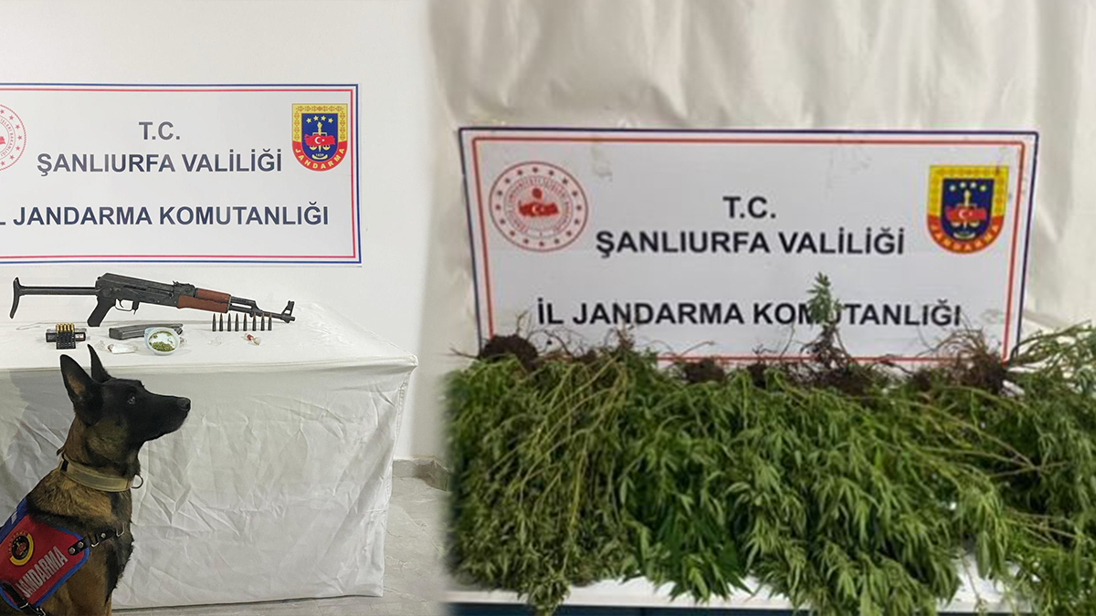 Şanlıurfa’nın 4 ilçesinde nokta atışı operasyon!