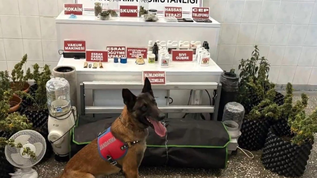 Şanlıurfa’ya da uzanan operasyonda 255 gözaltı! 3 milyon hap…