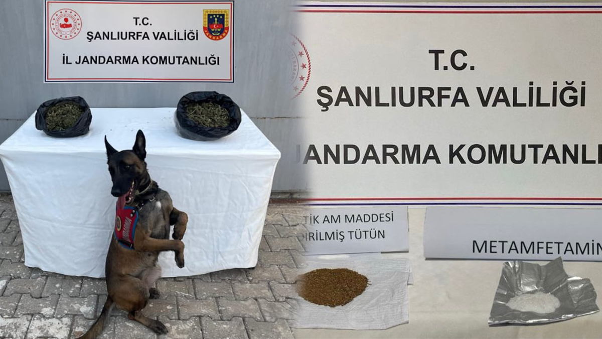 Şanlıurfa’da 4 ilçede eş zamanlı operasyon: Jandarma sahaya indi!
