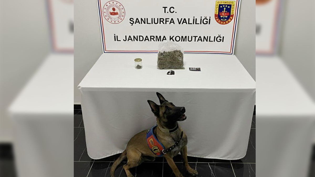 Şanlıurfa’da jandarmadan narkotik operasyonu! 1 gözaltı