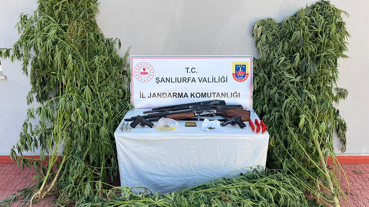 Şanlıurfa’da 5 ilçede dev operasyon