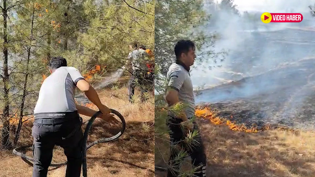 Şanlıurfa'da korkutan orman yangını: Ekiplerin müdahalesi sürüyor