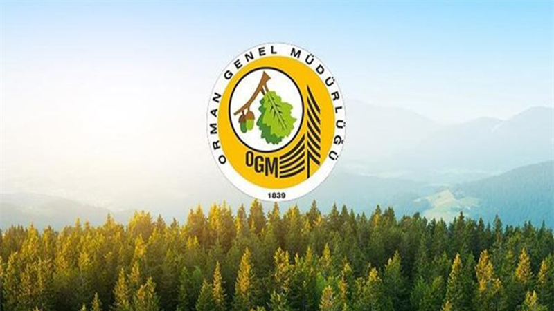 Başvurular bugün başladı Şanlıurfa’da iş arayanlar dikkat!