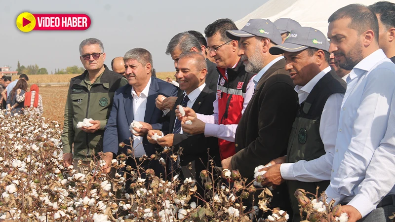 Pamuğun en çok yetiştirildiği Urfa'da bu festival ilk kez yapılıyor