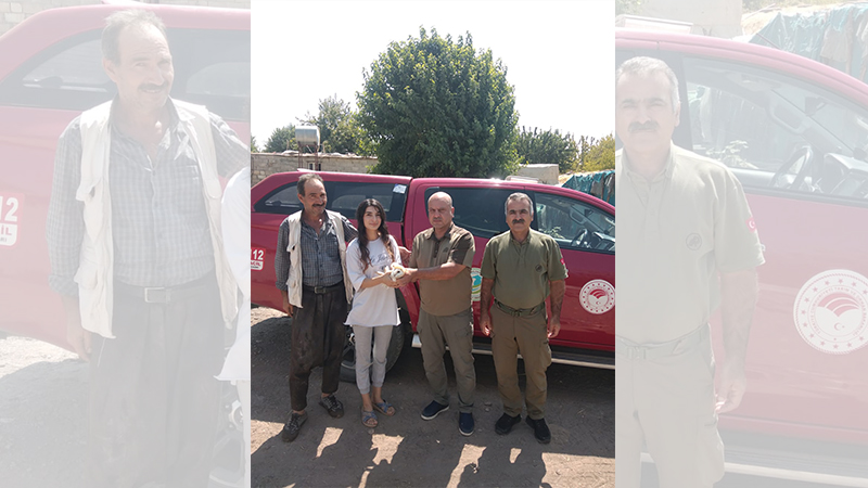 Urfa’da yaralı olarak bulunan peçeli baykuş tedaviye alındı