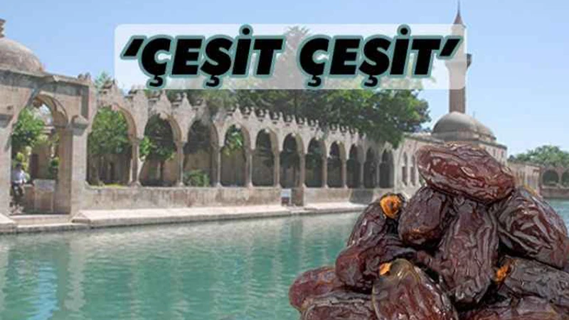 Ramazan ayının vazgeçilmezi! Hurmalar tezgahta yerini aldı