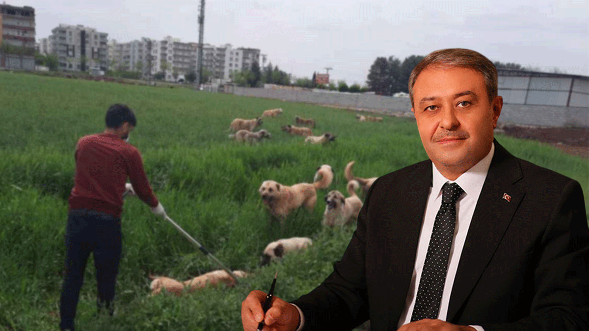 Vali Şıldak'tan önemli çağrı: Gören anında 112'yi arasın