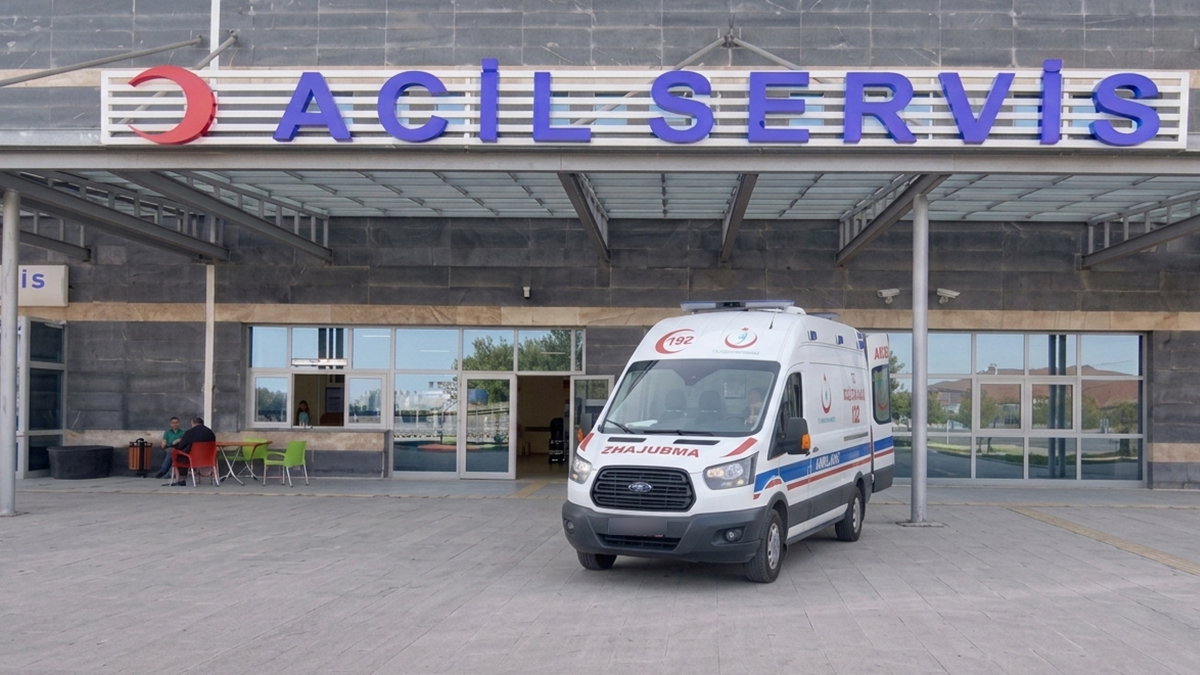 Şanlıurfa’da yolda yürüyen yaşlı adama kurt saldırdı!