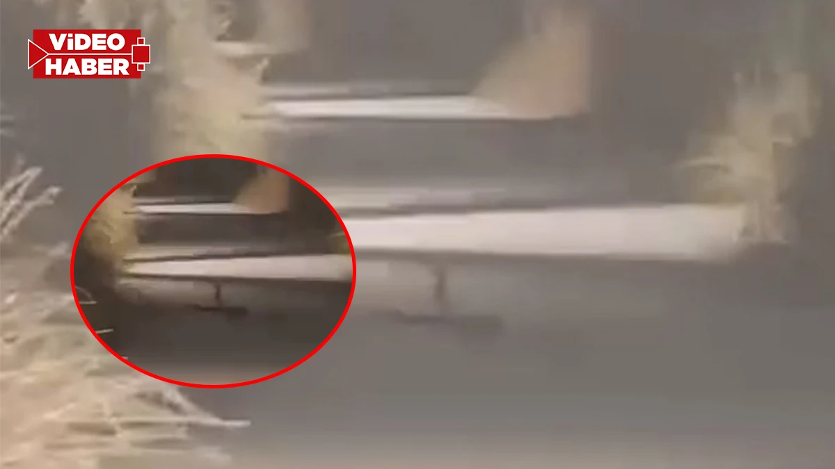 Şanlıurfa’da Millet Bahçesinde bir anda ortaya çıktı! Vatandaşlar panikledi