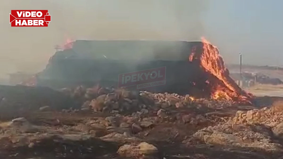 Şanlıurfa’da alevler saman balyalarını sardı! Tonlarca saman balyası kül oldu