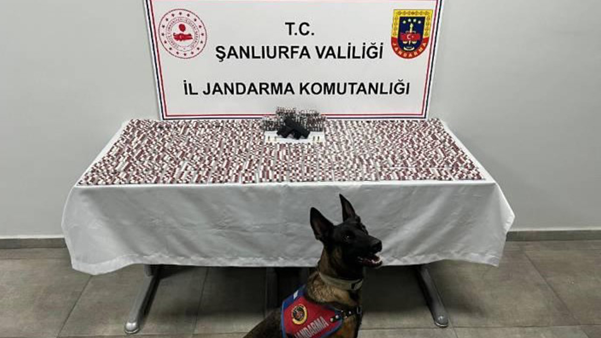 Şanlıurfa’da jandarmadan narkotik baskın! 2 gözaltı